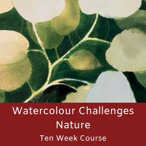 Watercolour Challenges