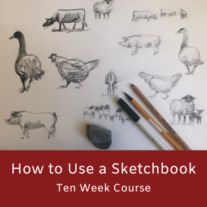 How to Use a Sketchbook - Ten Week Course