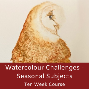 Drawing Animal Portraits